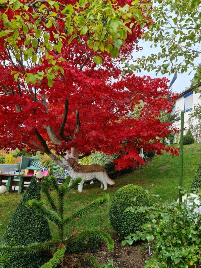 Ferienhaus Haus Herzog Titisee-Neustadt Bagian luar foto