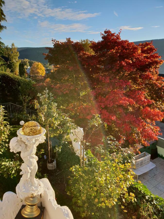 Ferienhaus Haus Herzog Titisee-Neustadt Bagian luar foto