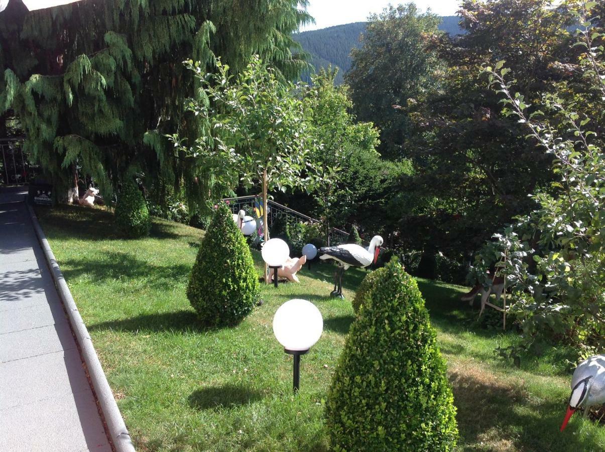 Ferienhaus Haus Herzog Titisee-Neustadt Bagian luar foto
